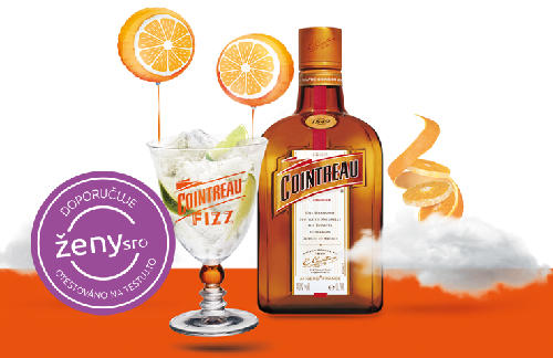 Testerky se svými přáteli otestovaly osvěžující a stylový drink Cointreau Fizz! Podívejte se na jejich fotky a videa, jak se při přípravě drinků bavily